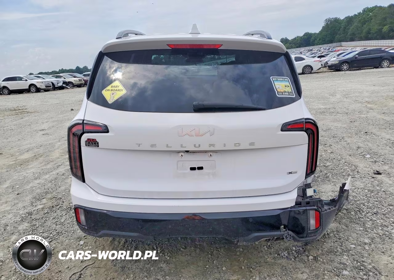 2024 Kia Telluride Ex X-Line VIN:5XYP3DGC0RG447593 - 6