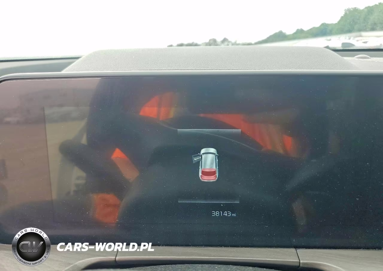 2024 Kia Telluride Ex X-Line VIN:5XYP3DGC0RG447593 - 9