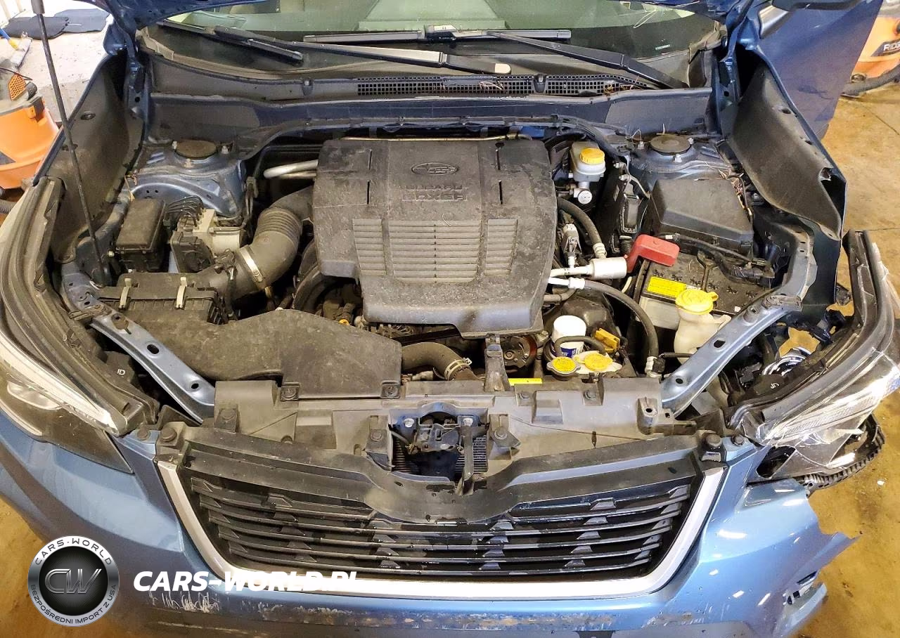 2019 Subaru Forester VIN:JF2SKACC0KH504827 - 12