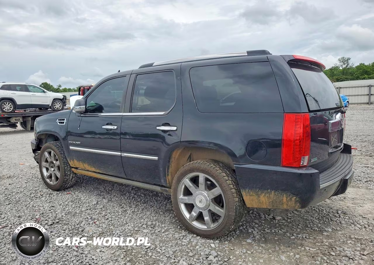 2010 Cadillac Escalade Premium VIN:1GYUCCEF1AR195413 - 2