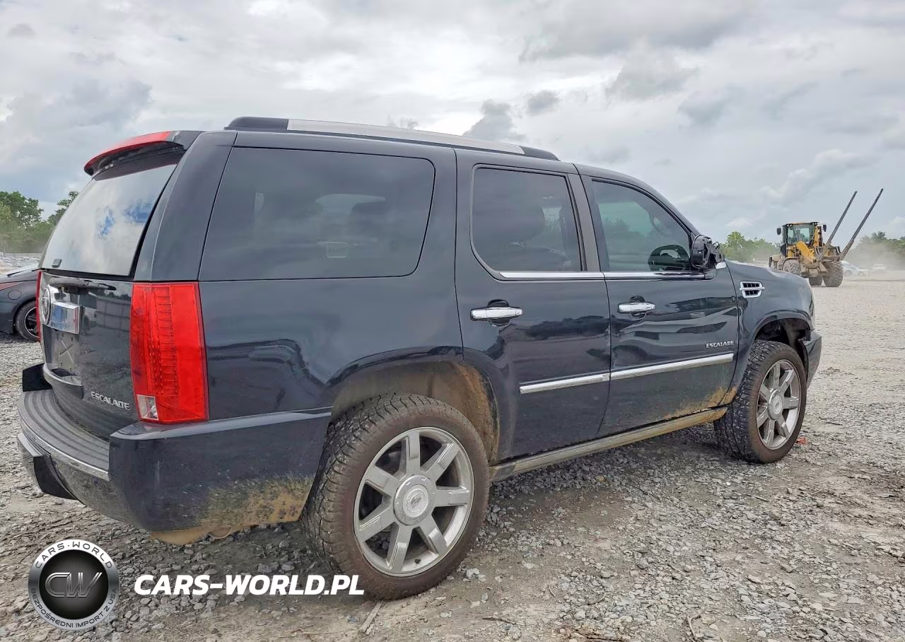 2010 Cadillac Escalade Premium VIN:1GYUCCEF1AR195413 - 3