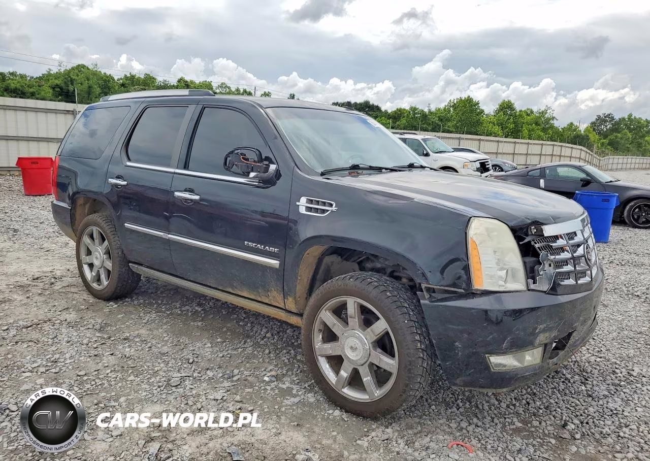 2010 Cadillac Escalade Premium VIN:1GYUCCEF1AR195413 - 4