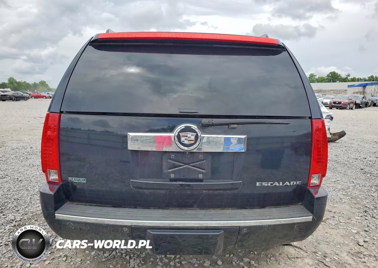 2010 Cadillac Escalade Premium VIN:1GYUCCEF1AR195413 - 6