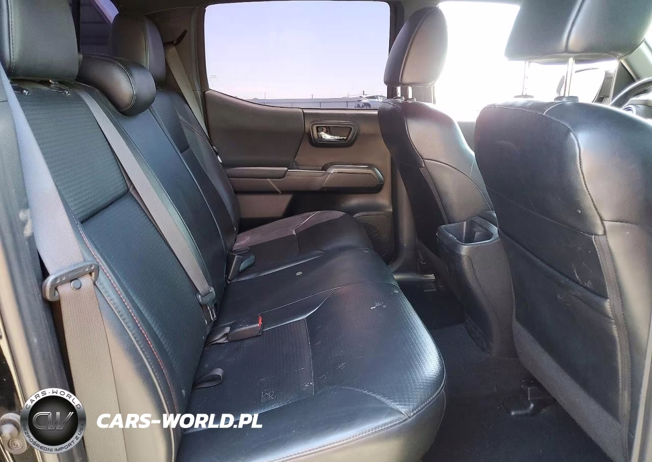 2019 Toyota Tacoma Trd Pro VIN:5TFCZ5AN0KX211154 - 10