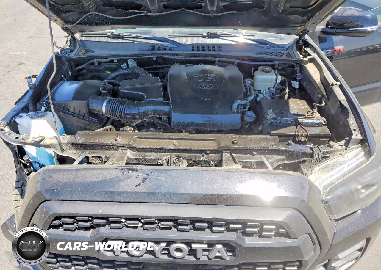 2019 Toyota Tacoma Trd Pro VIN:5TFCZ5AN0KX211154 - 11