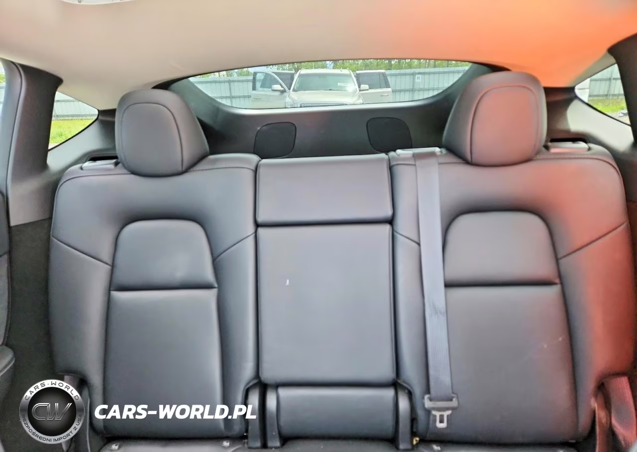 2023 Tesla Model Y VIN:7SAYGDEF1PF856893 - 10