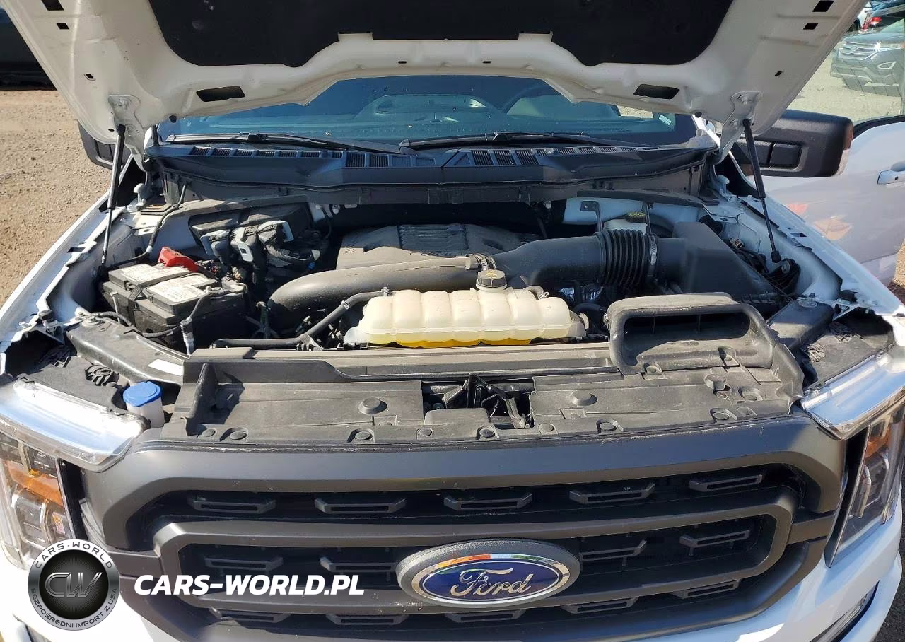 2023 Ford F150 Supercrew VIN:1FTFW1E85PKG20242 - 11