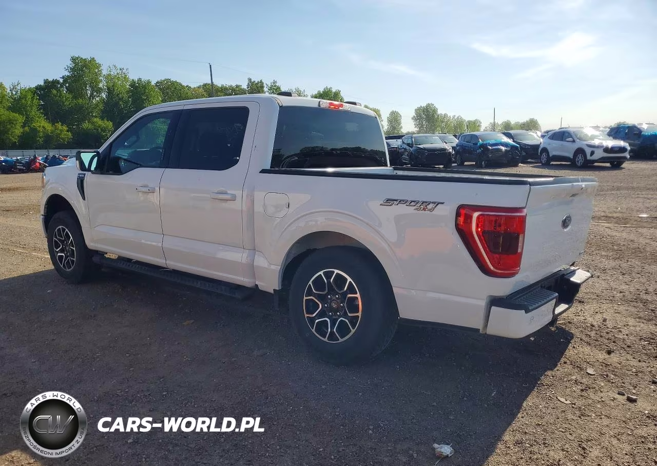2023 Ford F150 Supercrew VIN:1FTFW1E85PKG20242 - 2