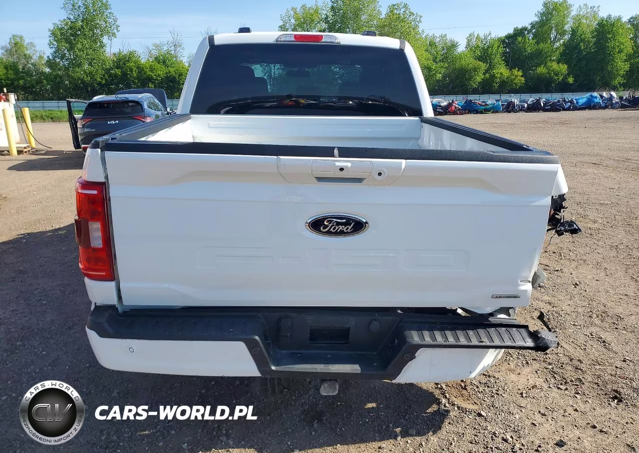 2023 Ford F150 Supercrew VIN:1FTFW1E85PKG20242 - 6