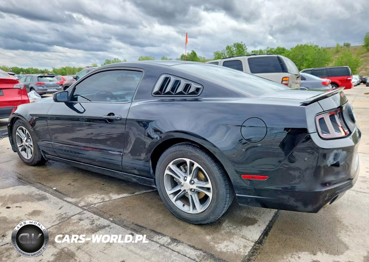 2014 Ford Mustang VIN:1ZVBP8AM4E5264950 - 2