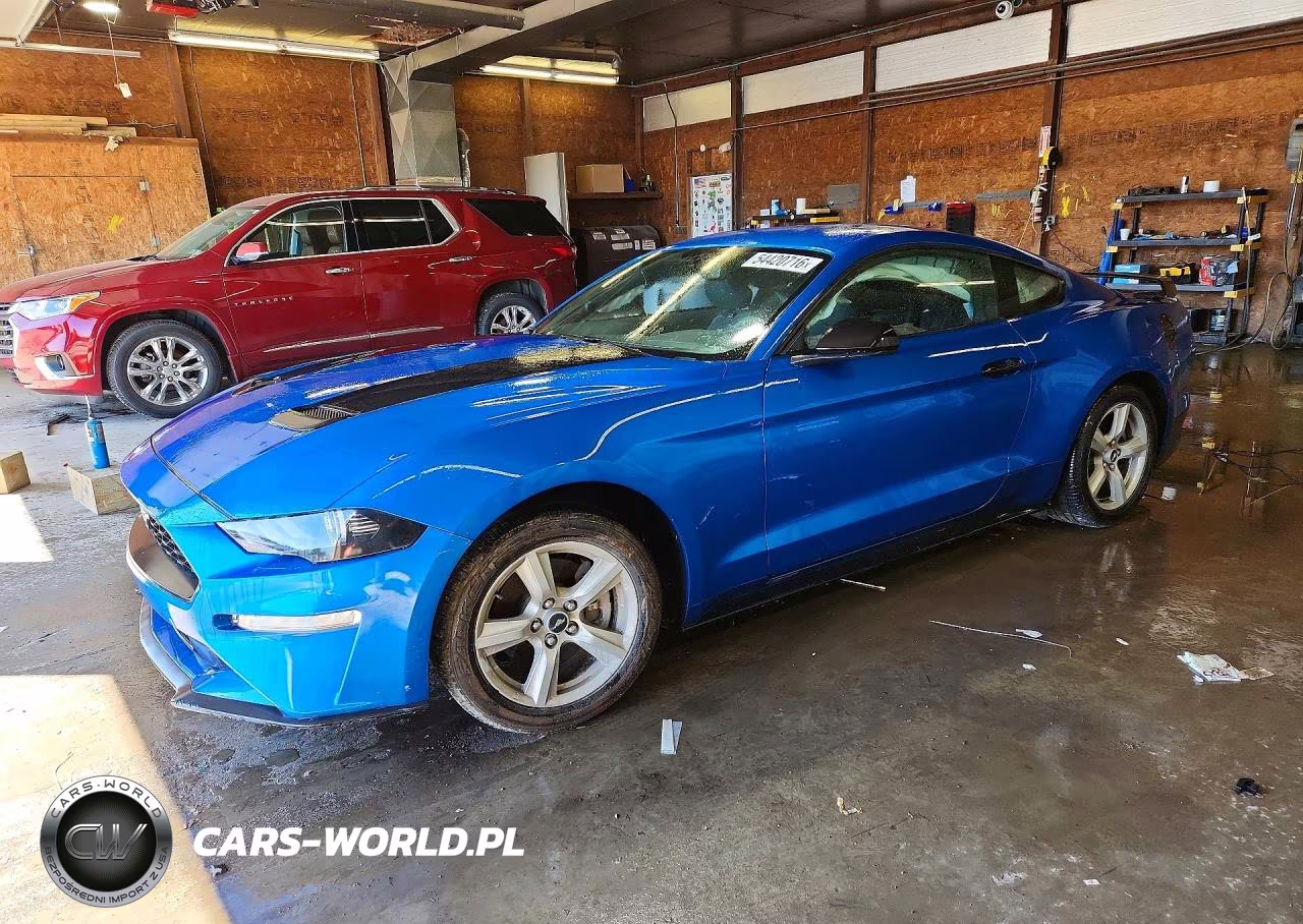 2019 Ford Mustang
