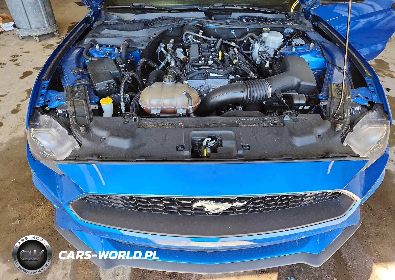 2019 Ford Mustang VIN:1FA6P8TH0K5103453 - 11