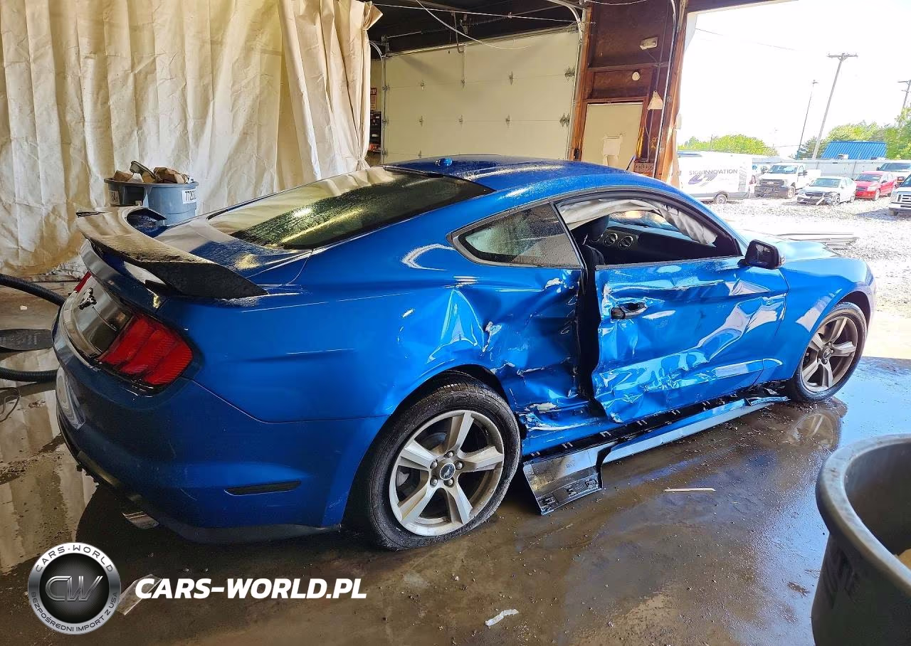 2019 Ford Mustang VIN:1FA6P8TH0K5103453 - 3