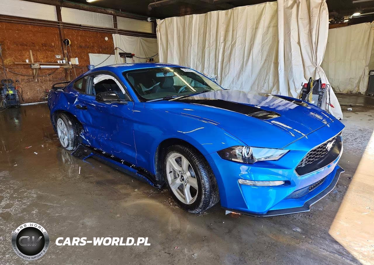 2019 Ford Mustang VIN:1FA6P8TH0K5103453 - 4