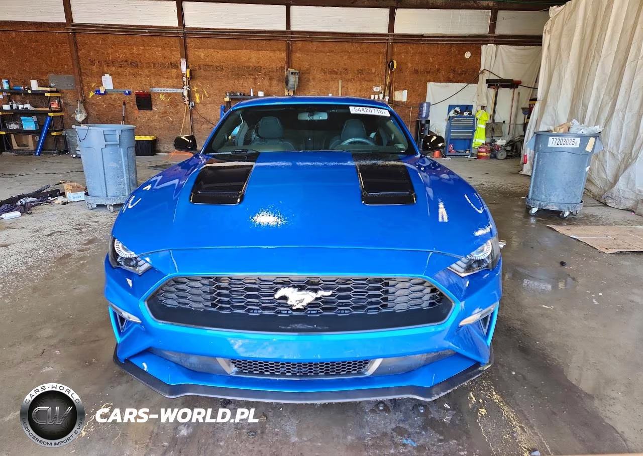 2019 Ford Mustang VIN:1FA6P8TH0K5103453 - 5