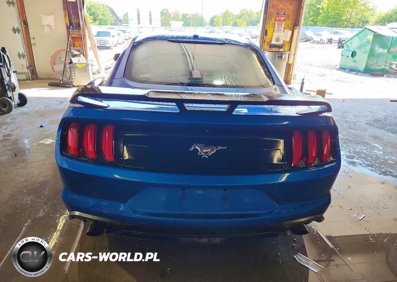 2019 Ford Mustang VIN:1FA6P8TH0K5103453 - 6