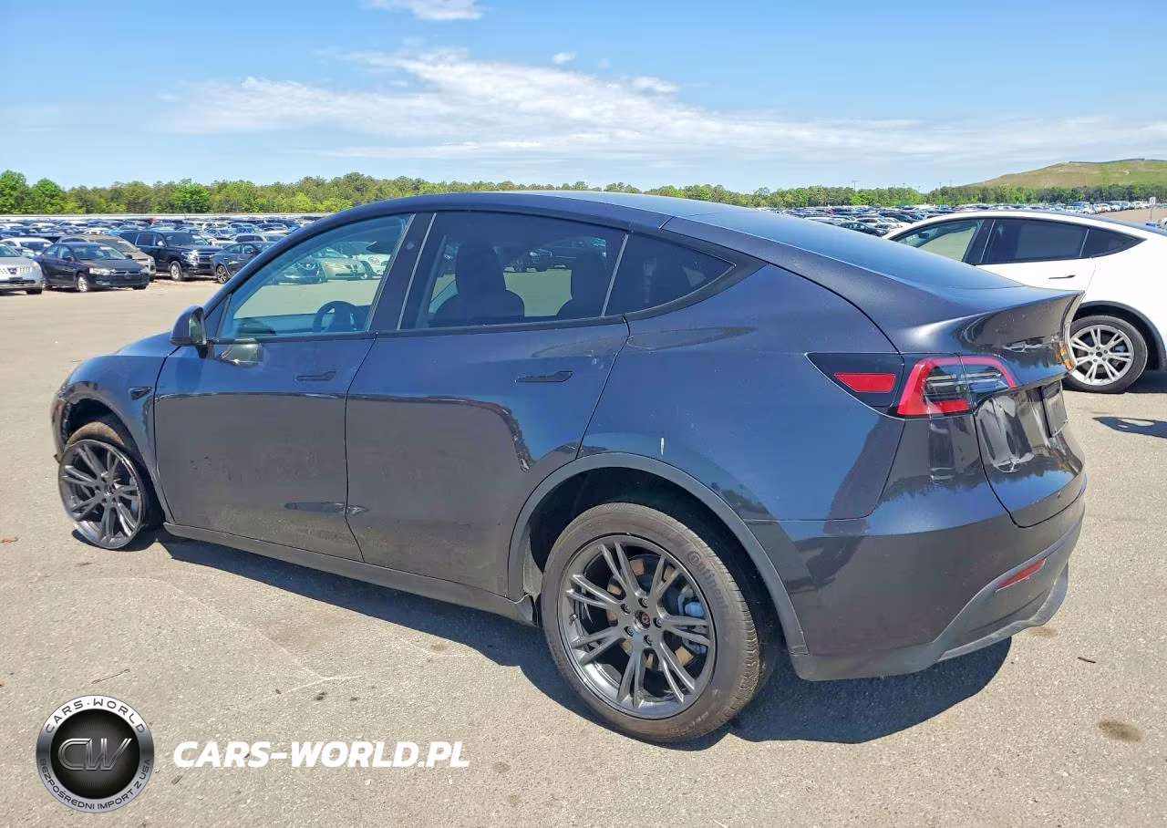 2025 Tesla Model Y VIN:7SAYGDEE4SF224017 - 2