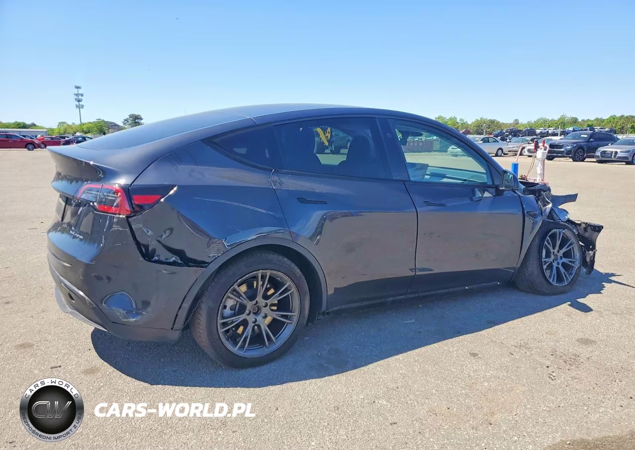 2025 Tesla Model Y VIN:7SAYGDEE4SF224017 - 3