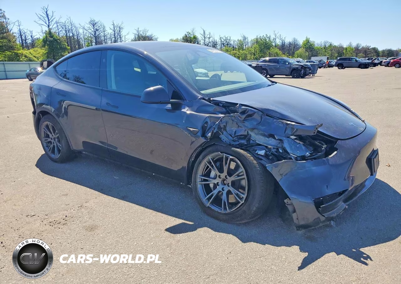 2025 Tesla Model Y VIN:7SAYGDEE4SF224017 - 4