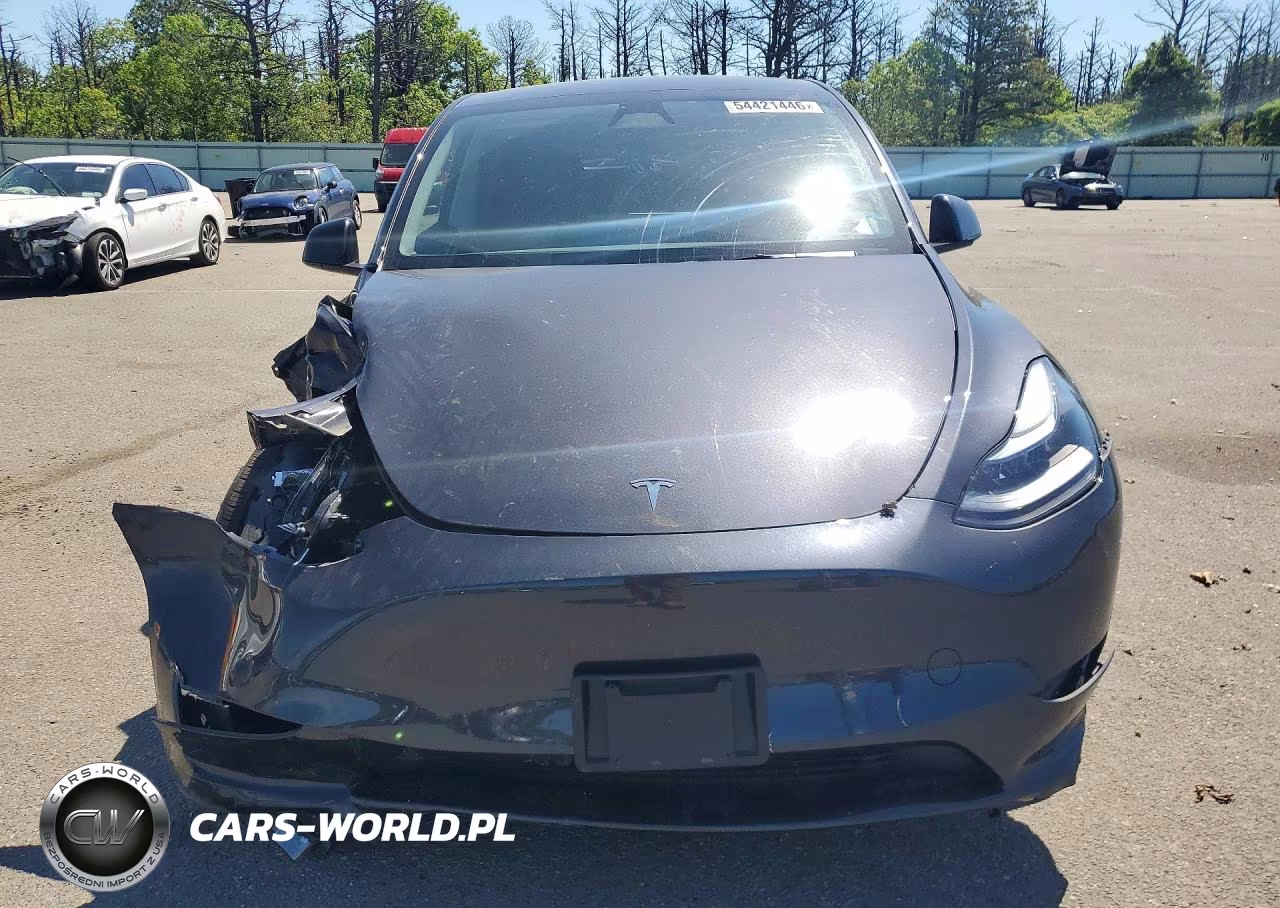2025 Tesla Model Y VIN:7SAYGDEE4SF224017 - 5