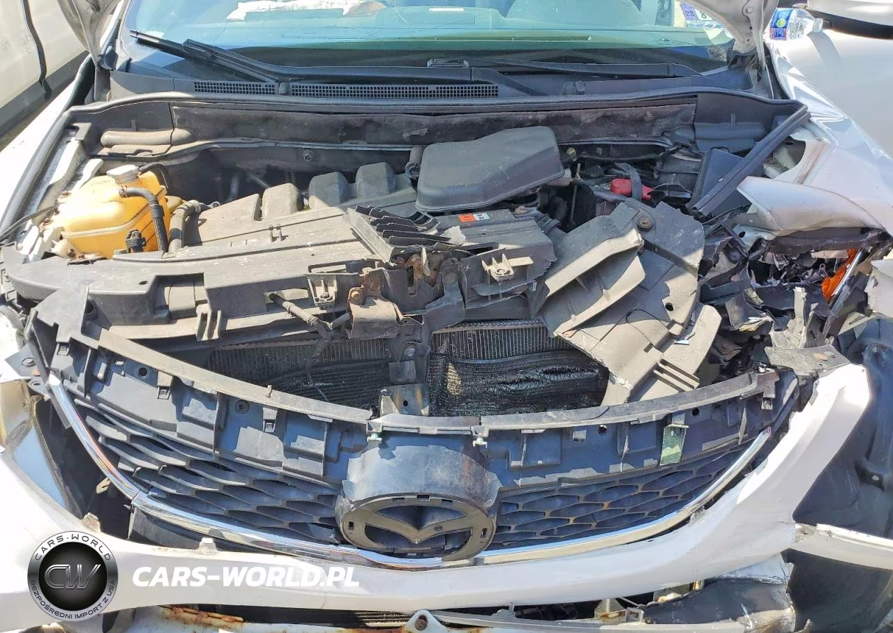 2011 Mazda Cx-9 VIN:JM3TB3CV5B0327021 - 11