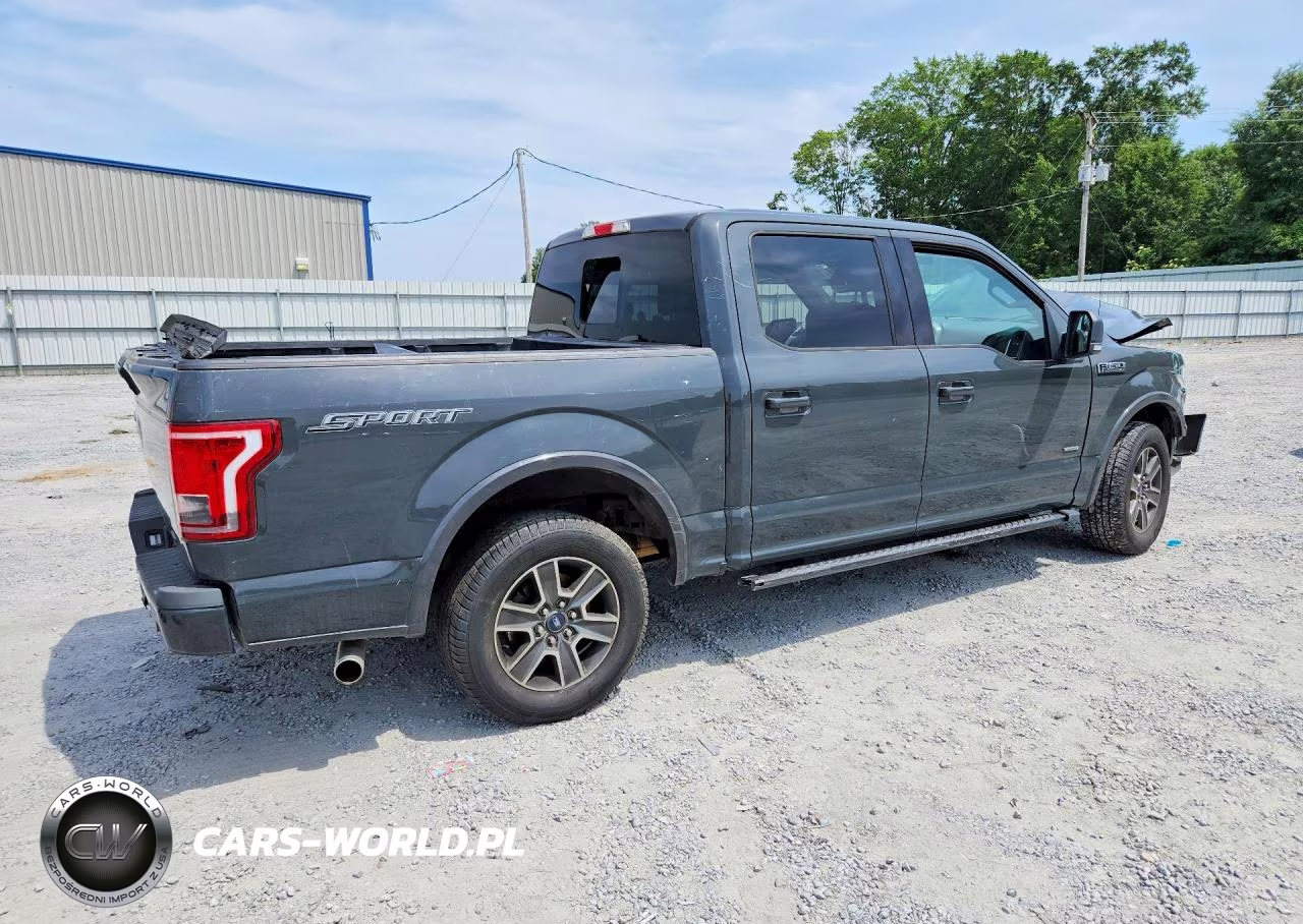 2016 Ford F150 Supercrew VIN:1FTEW1CP1GFD48187 - 3