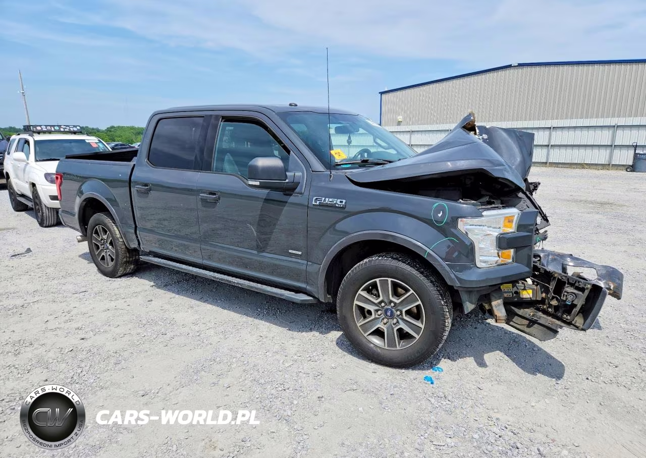 2016 Ford F150 Supercrew VIN:1FTEW1CP1GFD48187 - 4