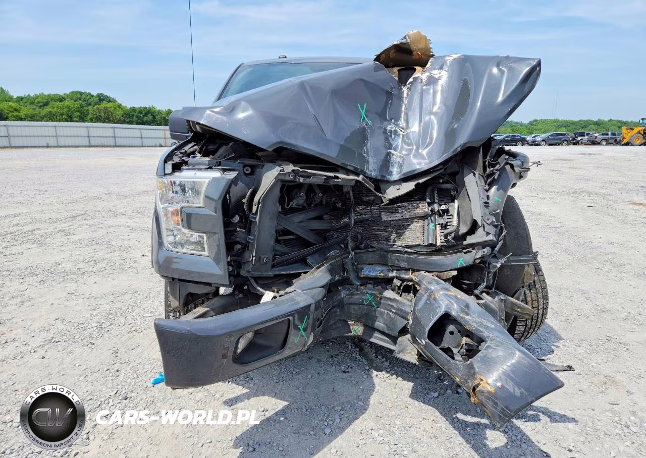 2016 Ford F150 Supercrew VIN:1FTEW1CP1GFD48187 - 5