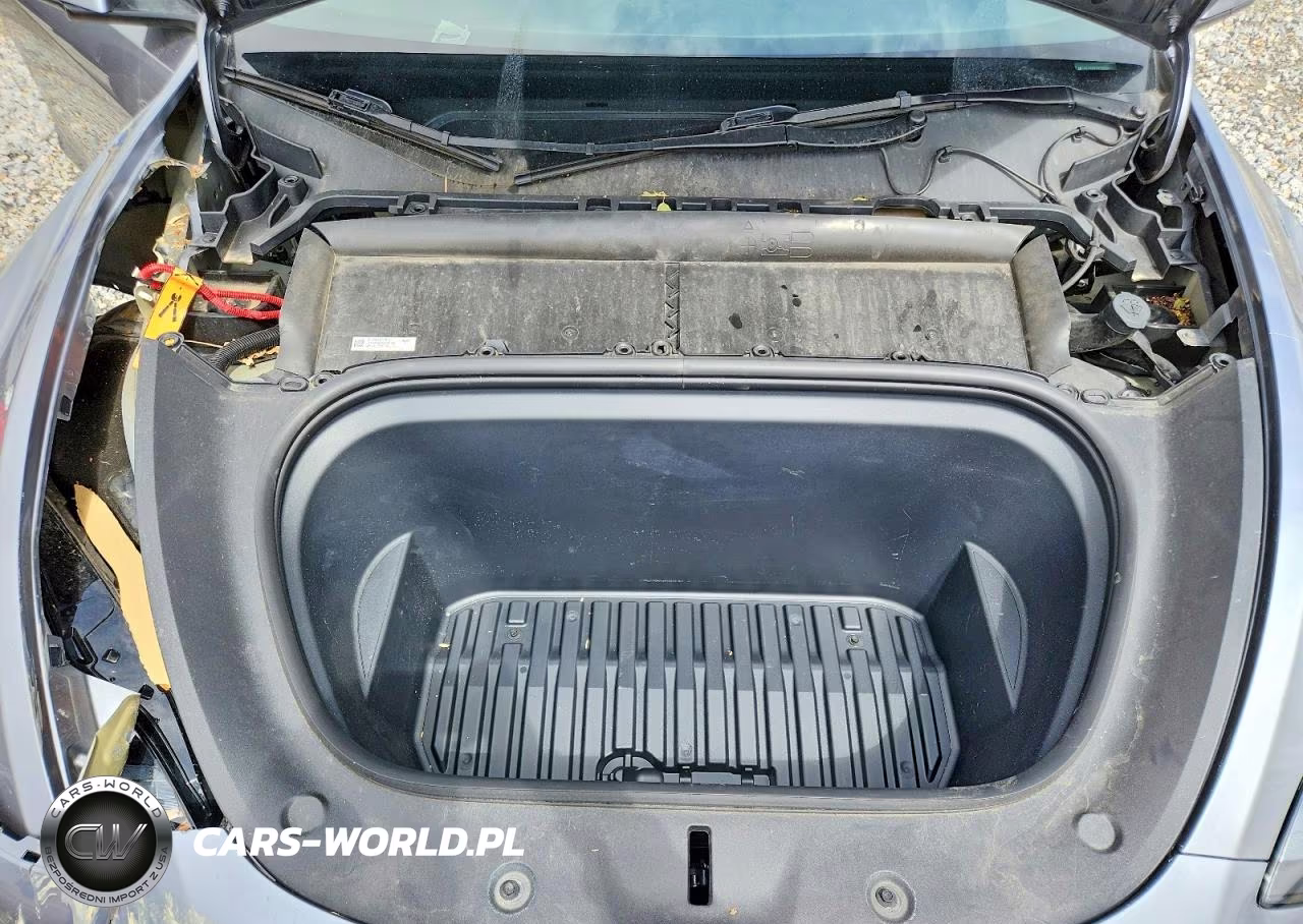 2024 Tesla Model Y VIN:7SAYGDEF7RF182221 - 11