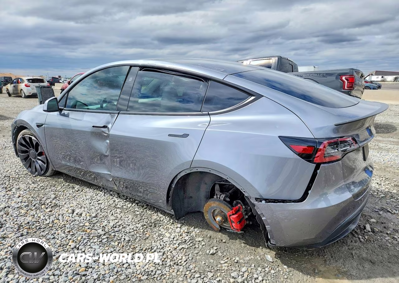 2024 Tesla Model Y VIN:7SAYGDEF7RF182221 - 2