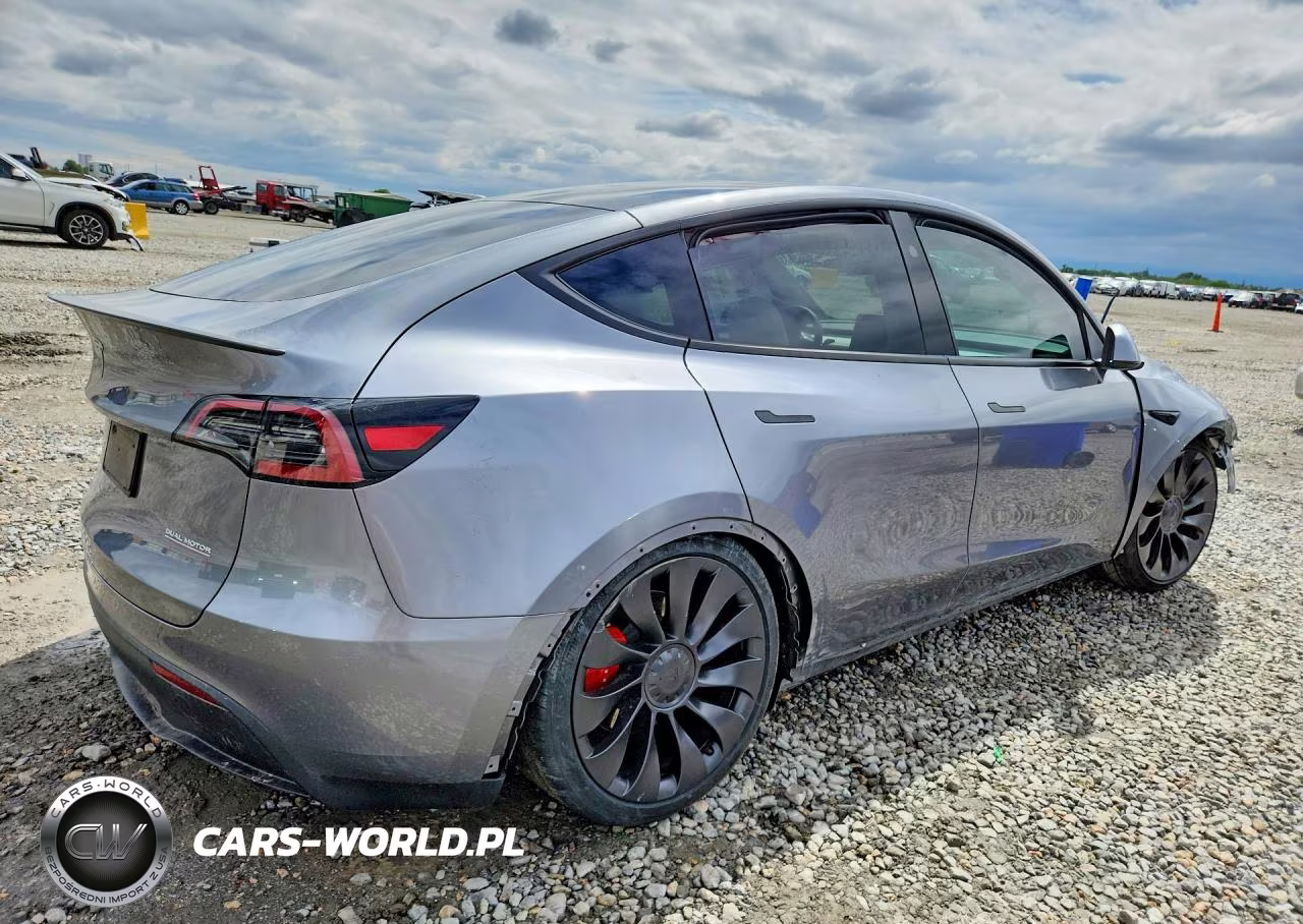 2024 Tesla Model Y VIN:7SAYGDEF7RF182221 - 3
