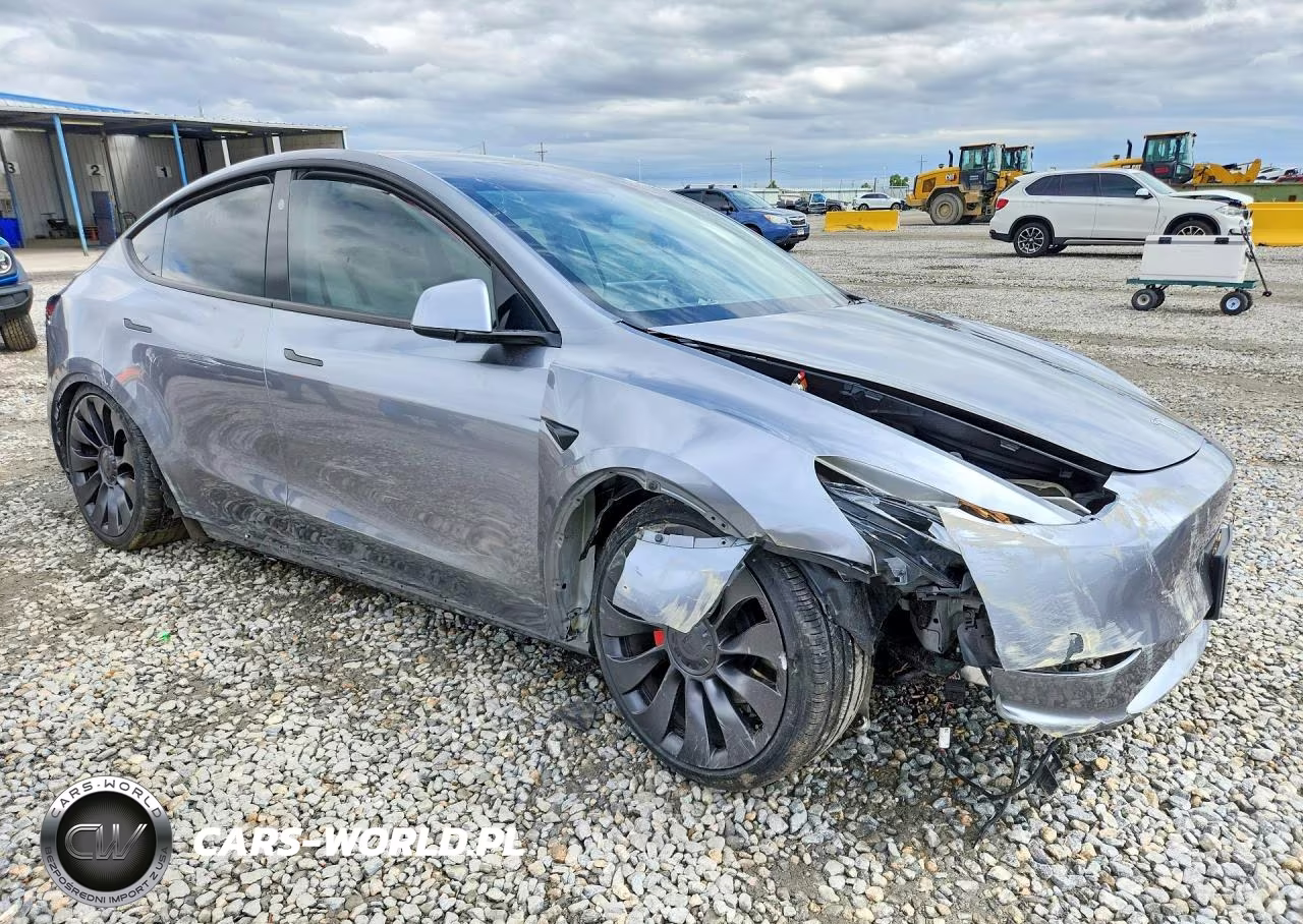 2024 Tesla Model Y VIN:7SAYGDEF7RF182221 - 4