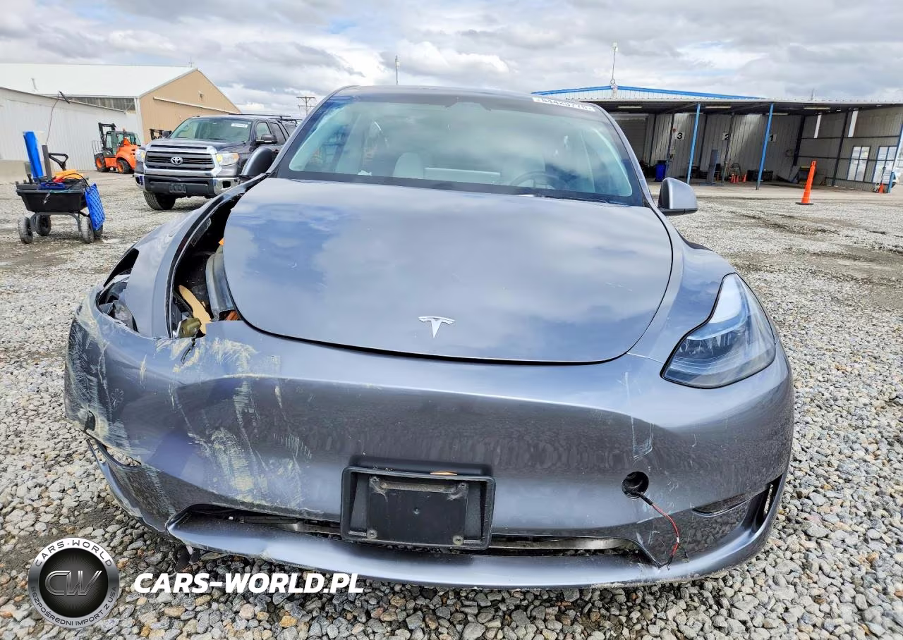 2024 Tesla Model Y VIN:7SAYGDEF7RF182221 - 5