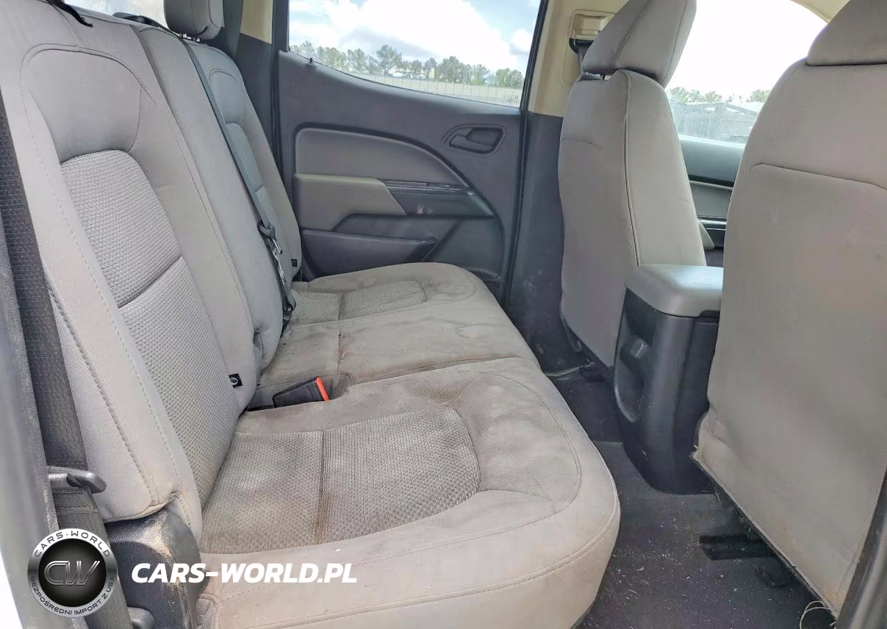 2019 Chevrolet Colorado VIN:1GCGSBEN8K1126418 - 10
