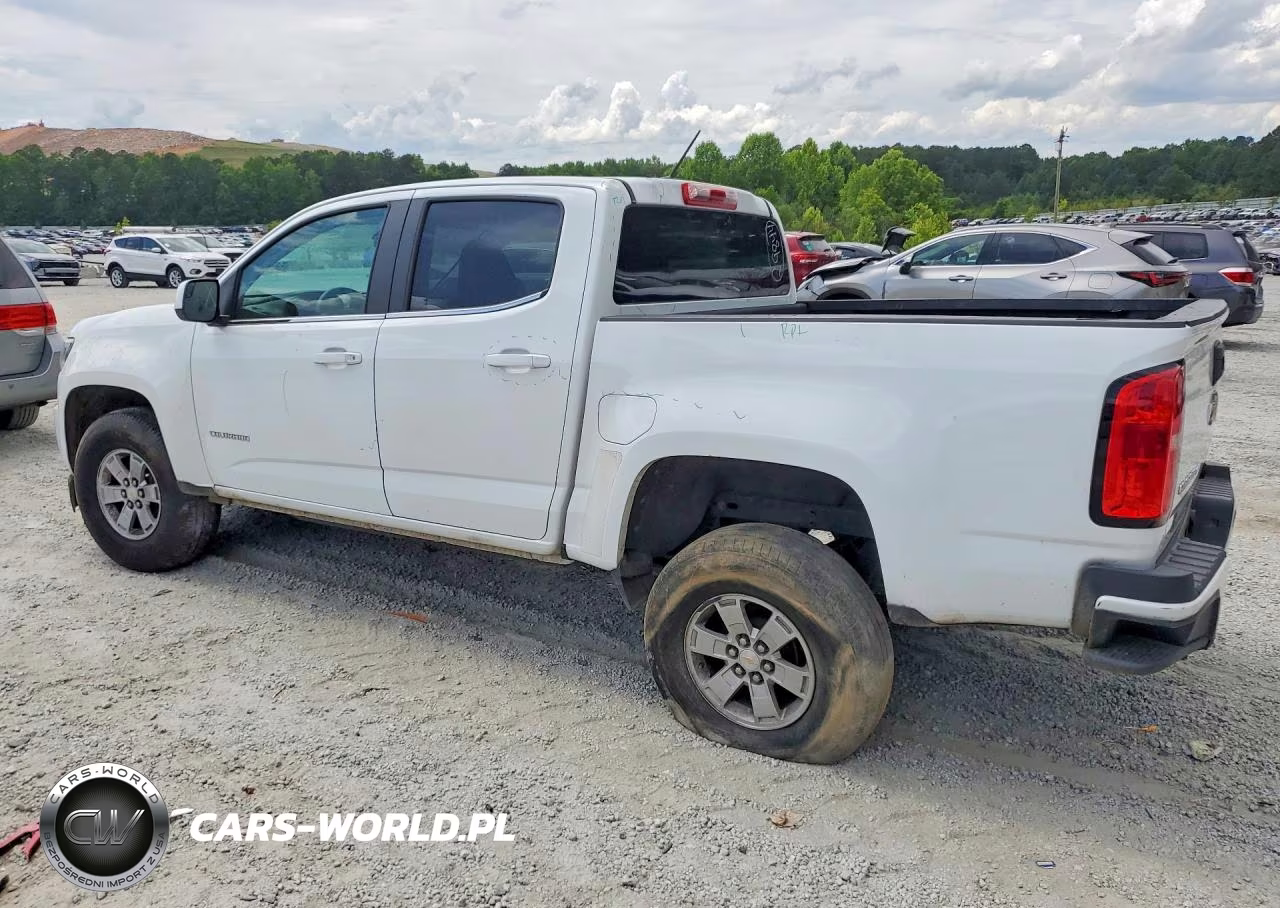 2019 Chevrolet Colorado VIN:1GCGSBEN8K1126418 - 2