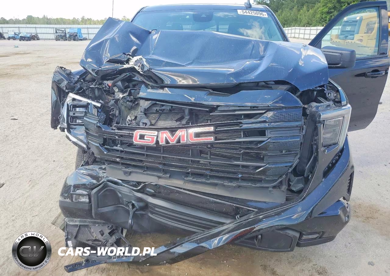 2025 GMC Sierra C1500 Elevation VIN:3GTPHCED7SG335419 - 11
