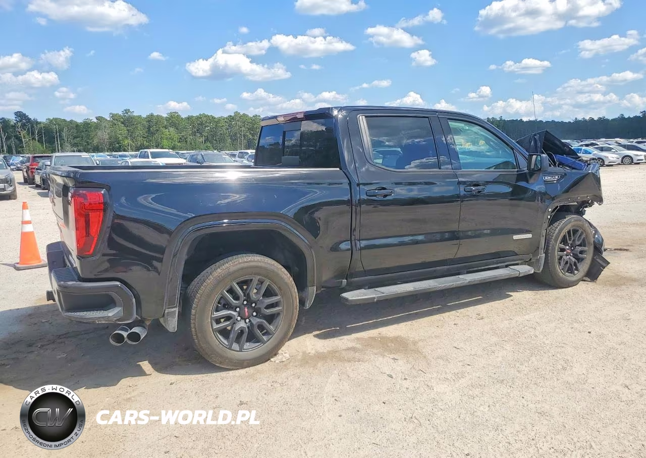 2025 GMC Sierra C1500 Elevation VIN:3GTPHCED7SG335419 - 3
