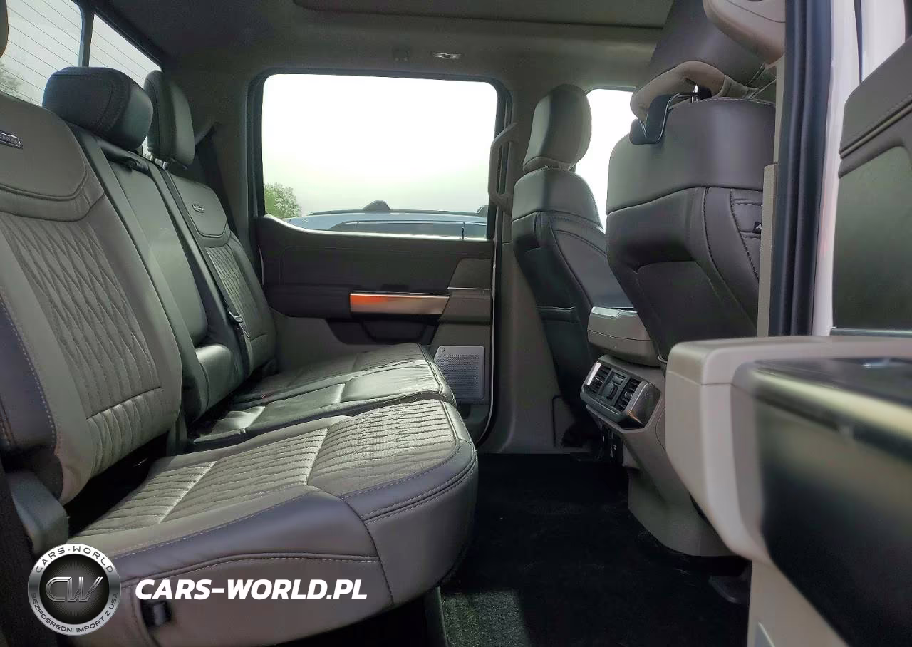 2024 Ford F150 Platinum VIN:1FTFW7LD3RFA31365 - 10