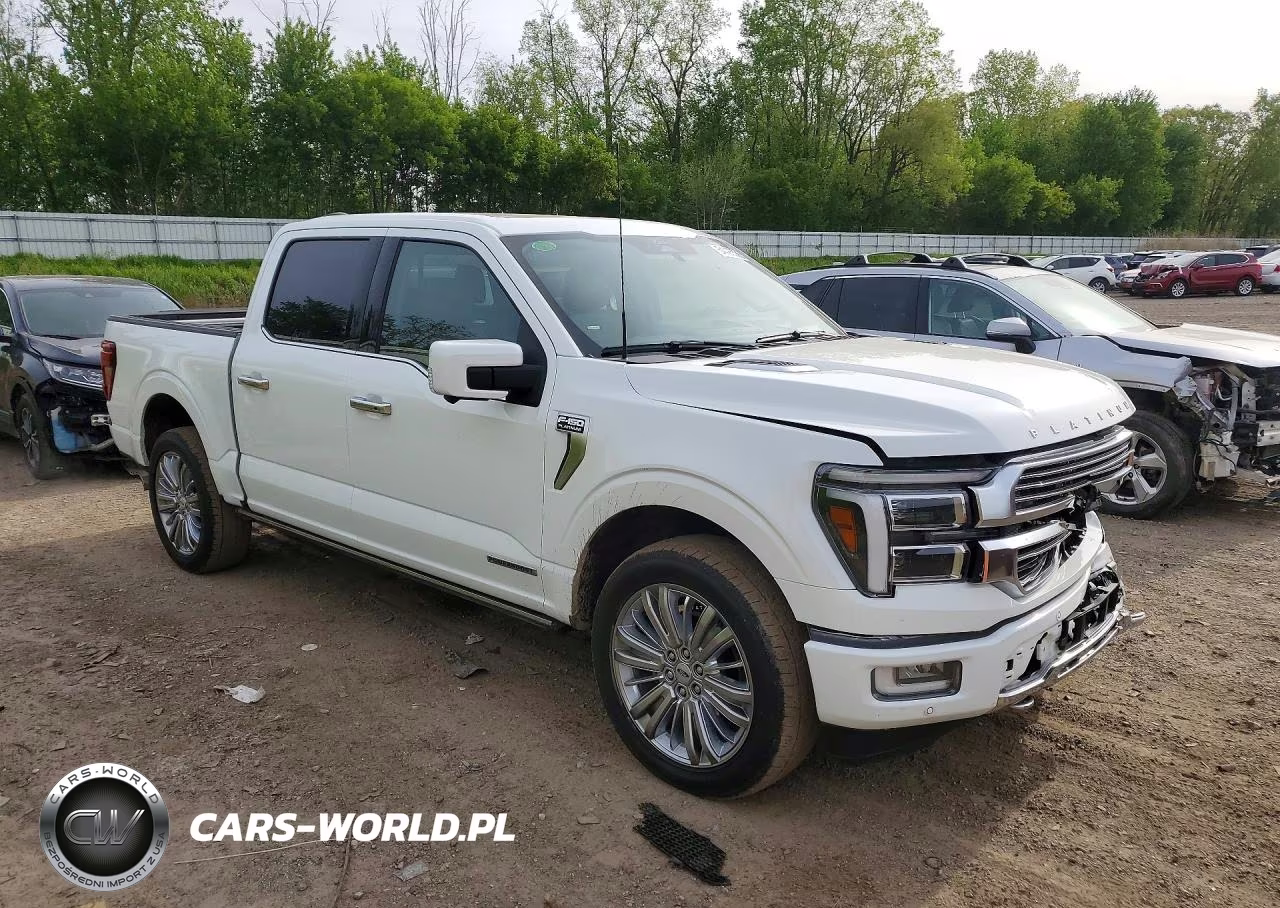 2024 Ford F150 Platinum VIN:1FTFW7LD3RFA31365 - 4