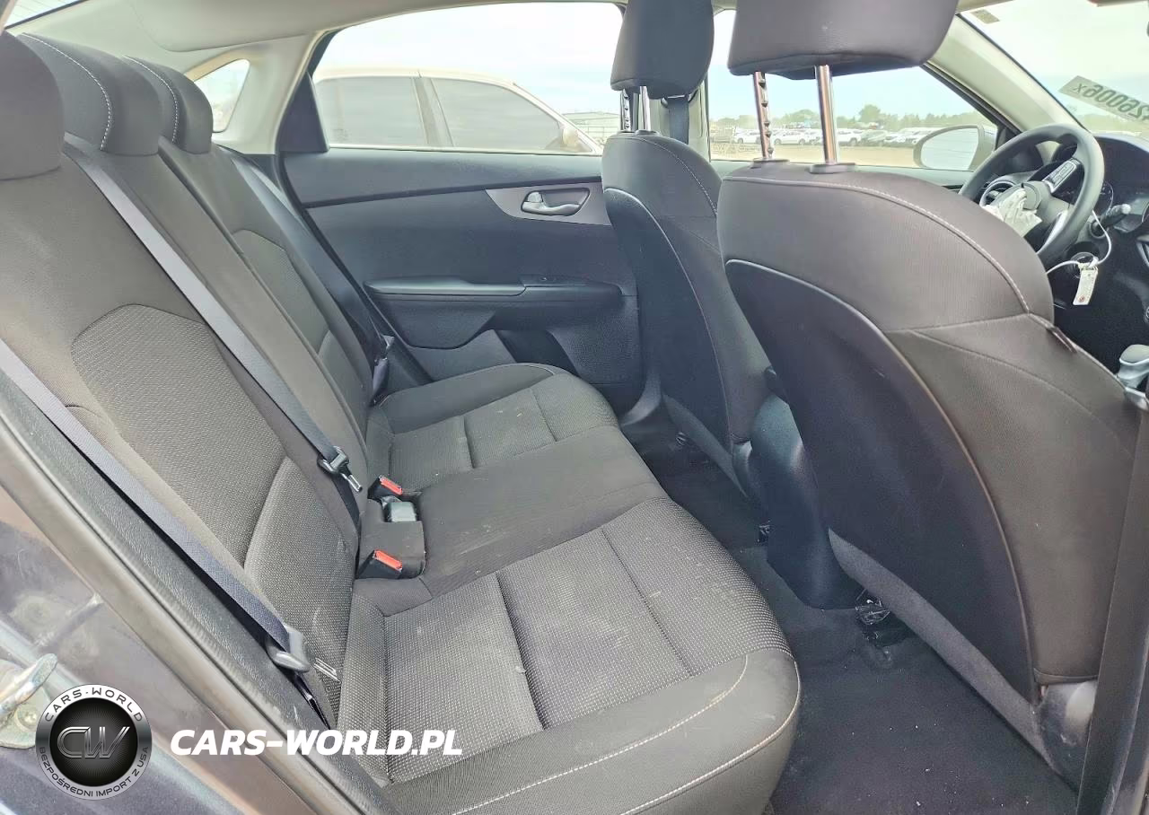 2020 Kia Forte Lxs VIN:3KPF24ADXLE196960 - 10