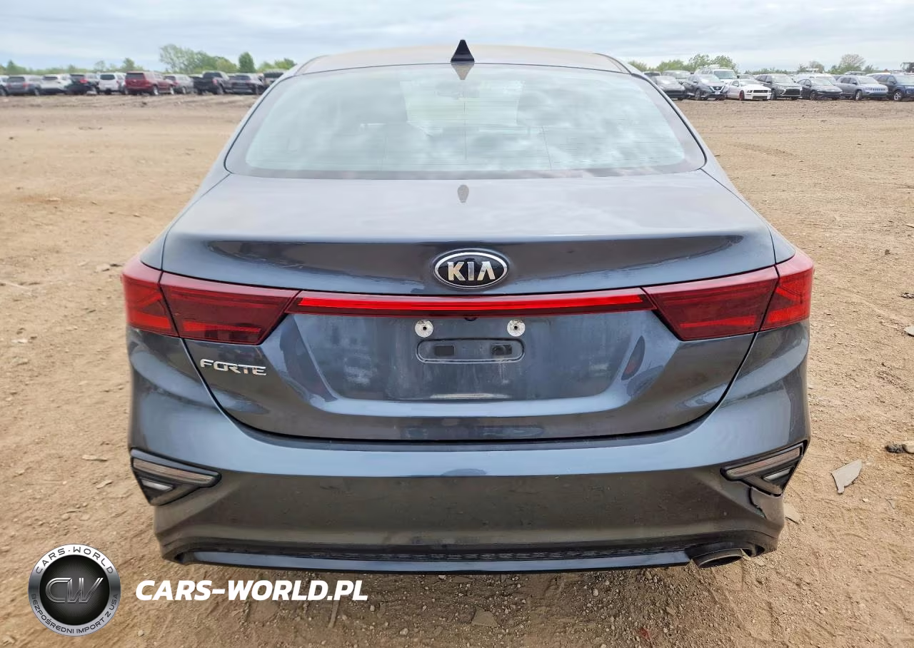 2020 Kia Forte Lxs VIN:3KPF24ADXLE196960 - 6