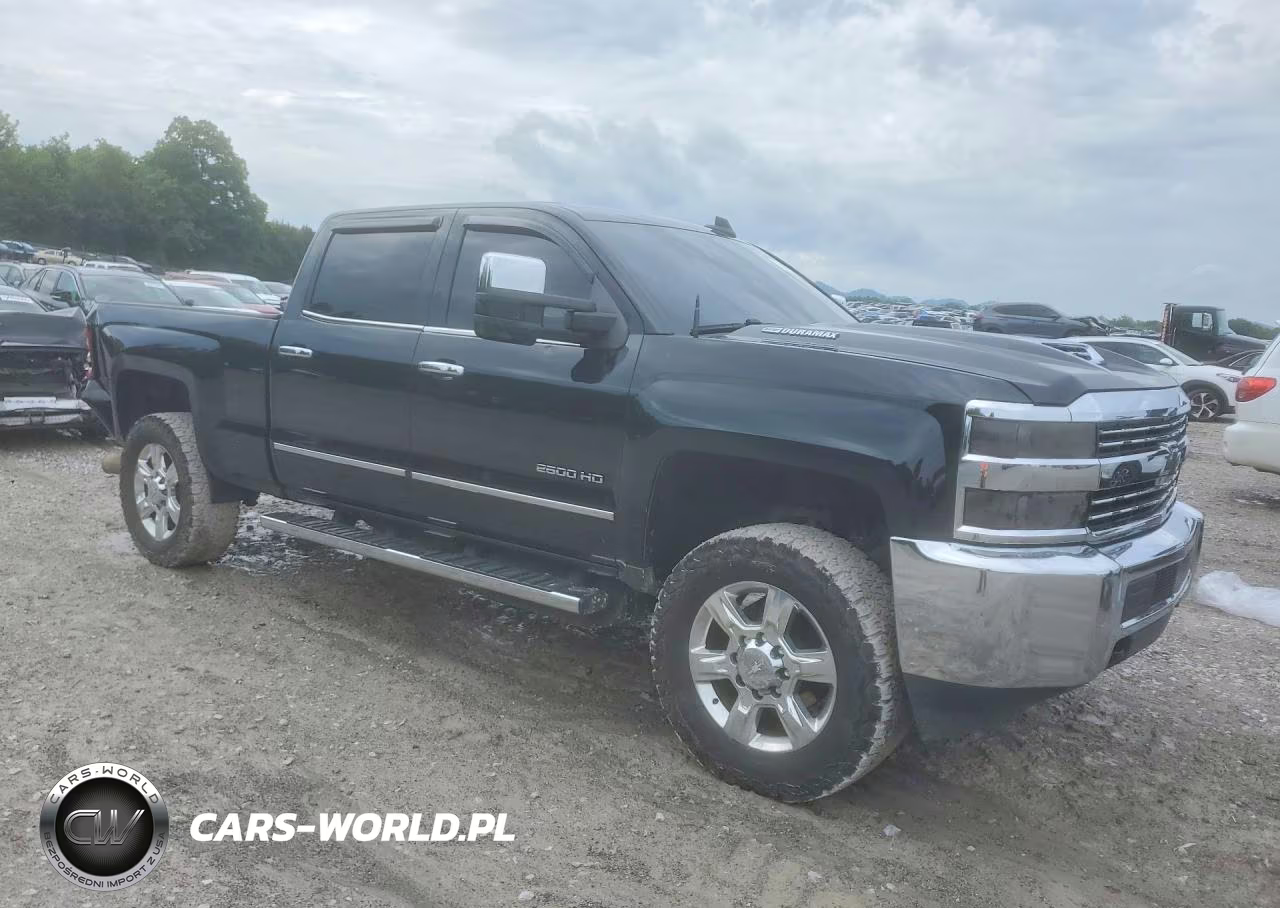 2017 Chevrolet Silverado K2500 Heavy Duty VIN:1GC1KUEYXHF206049 - 4
