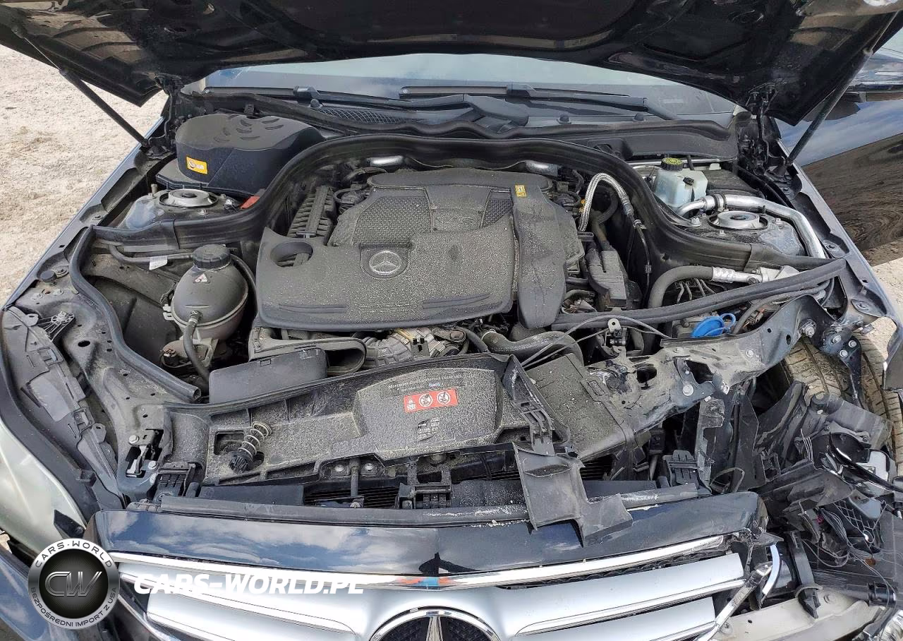 2016 Mercedes-Benz E 350 VIN:WDDHF5KB6GB243782 - 11