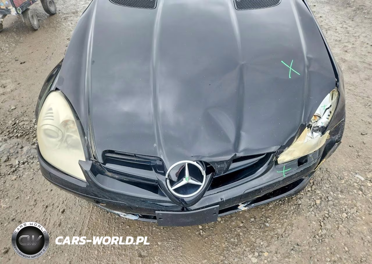 2006 Mercedes-Benz Slk 350 VIN:WDBWK56FX6F097886 - 11