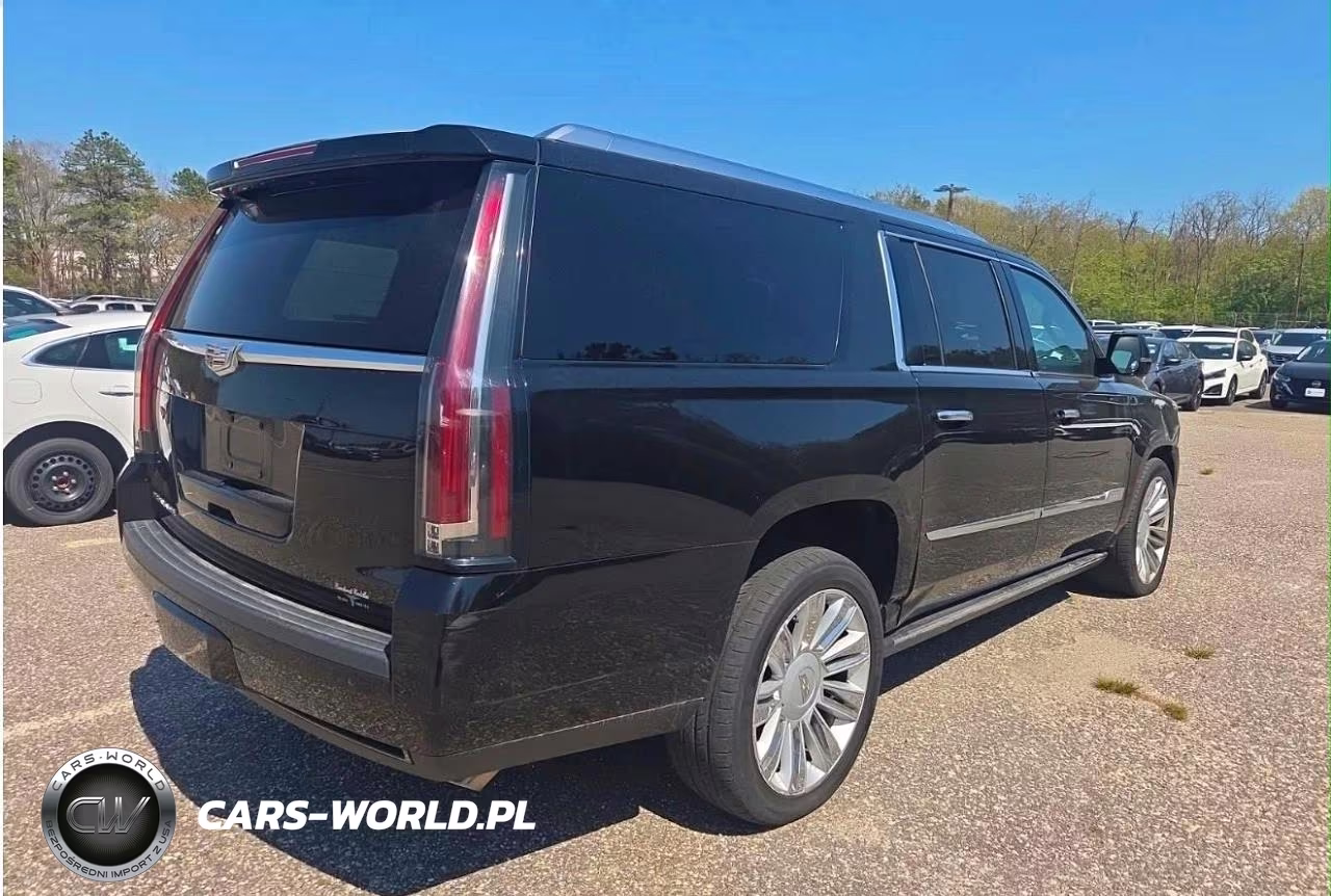 2016 Cadillac Escalade Esv Platinum VIN:1GYS4KKJ9GR230084 - 4