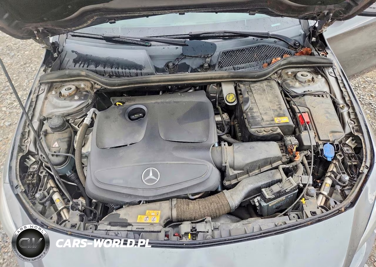 2014 Mercedes-Benz Cla 250 VIN:WDDSJ4EB4EN040430 - 11