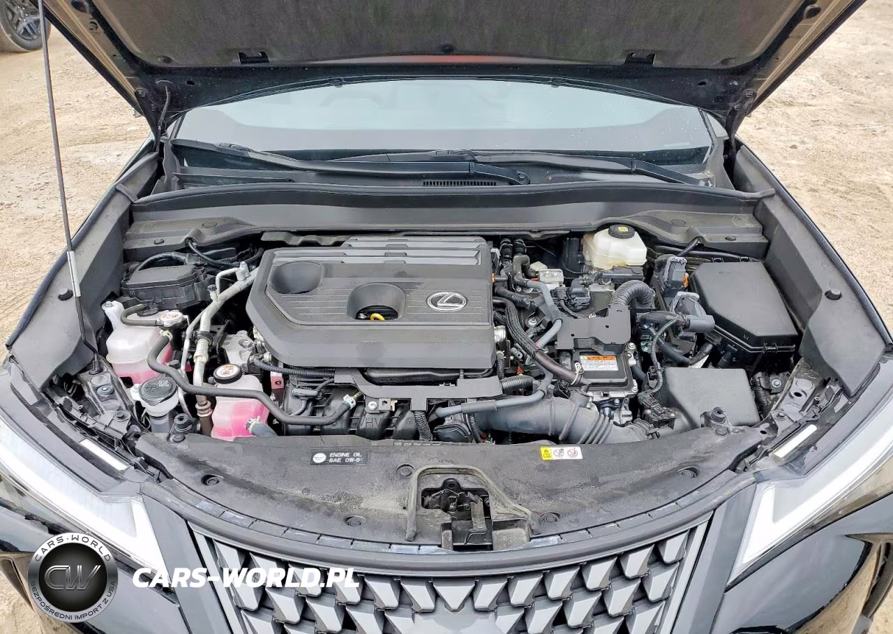 2025 Lexus Ux 300H Premium VIN:JTHYBJAH5S2002534 - 12