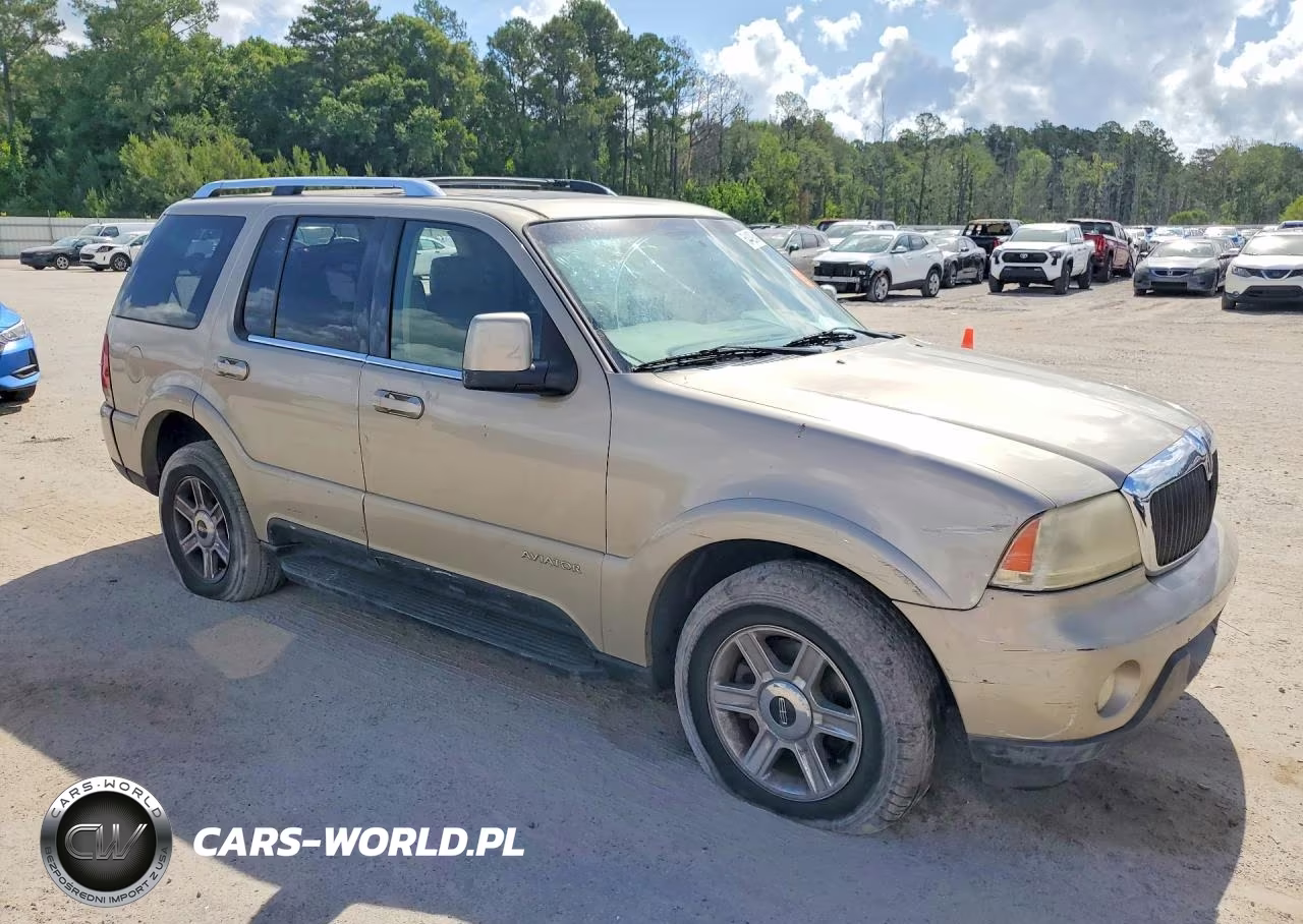 2004 Lincoln Aviator VIN:5LMEU88H44ZJ53137 - 4