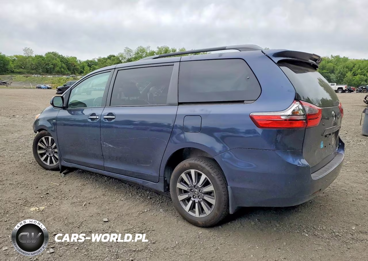 2020 Toyota Sienna Xle 7-Passenger VIN:5TDDZ3DC6LS242788 - 2