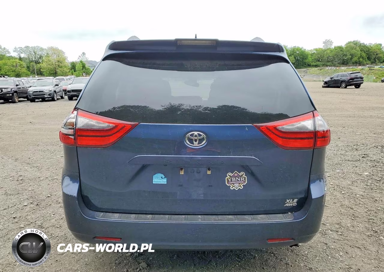 2020 Toyota Sienna Xle 7-Passenger VIN:5TDDZ3DC6LS242788 - 6